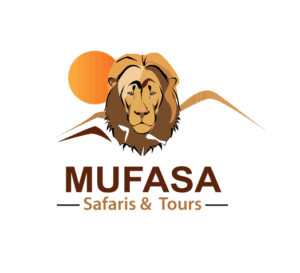 Mufasa Safaris & Tours